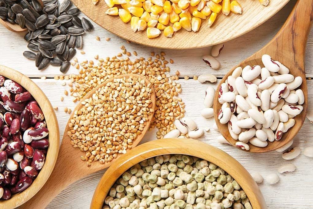 Whole Grains Selection